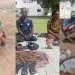 Bandits, kidnappers in Nigeria arrested