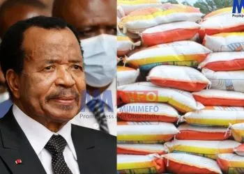 Biya on Import Substitution