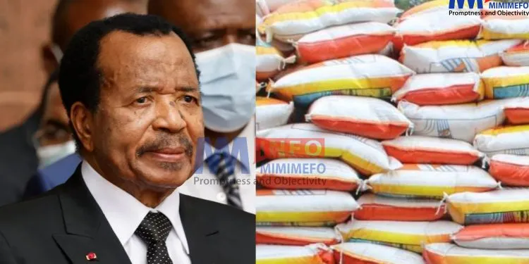 Biya on Import Substitution