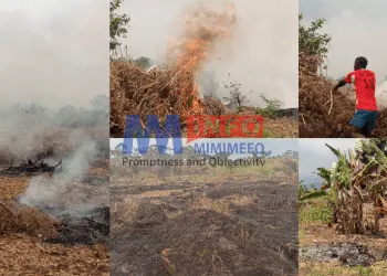Cameroon's farming practices raises climate change concerns