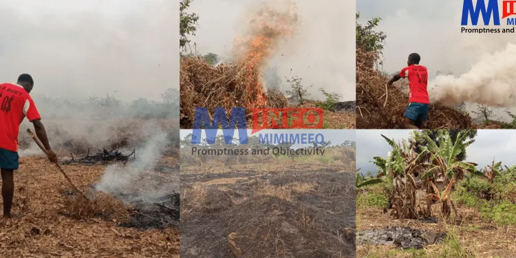 Cameroon's farming practices raises climate change concerns