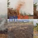 Cameroon's farming practices raises climate change concerns