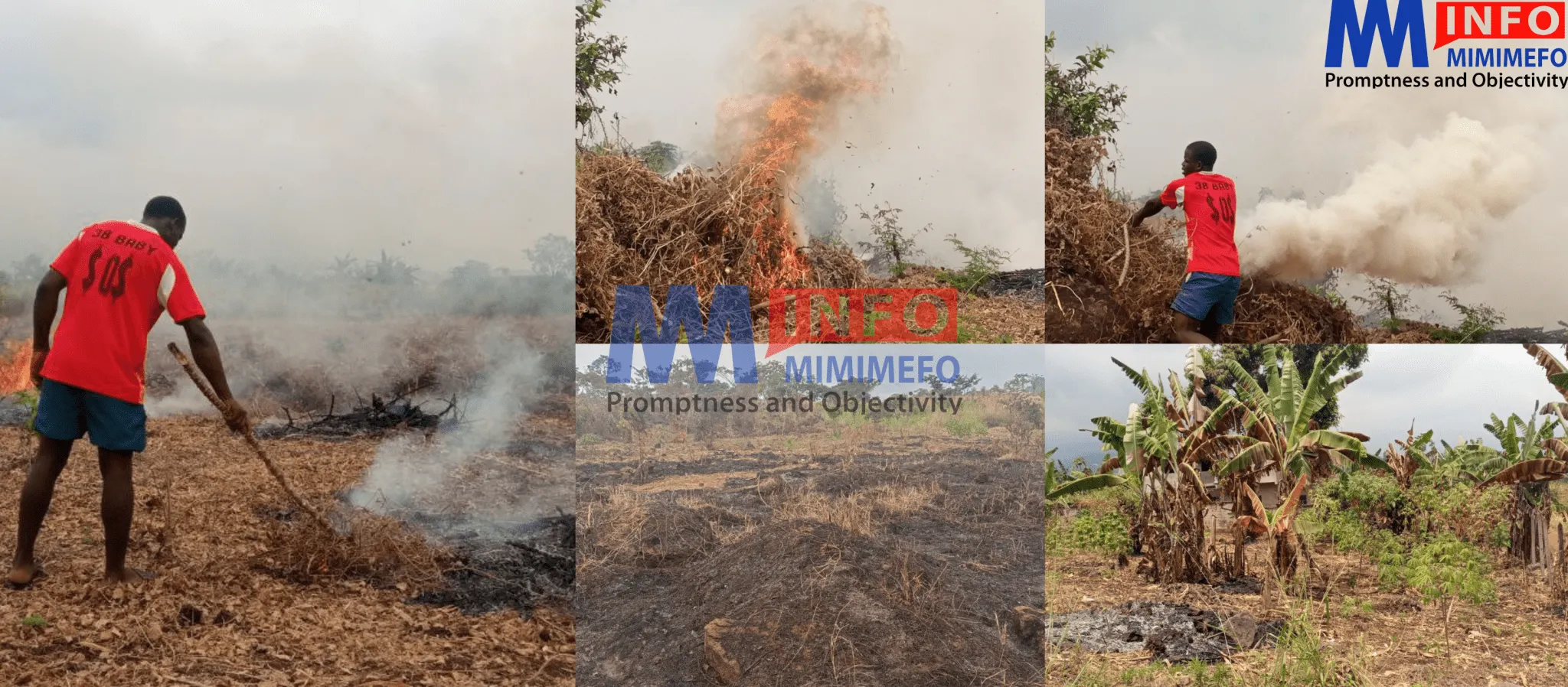 Cameroon's farming practices raises climate change concerns