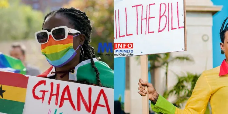 Ghana's parliament passess Anti-lgbtq Bill