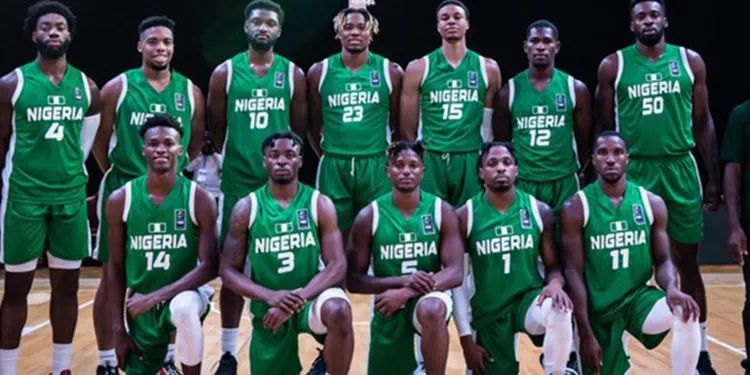 Nigeria D'Tigers might not compete for lack of funds