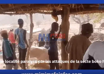 Boko Haram leaves community in distress
