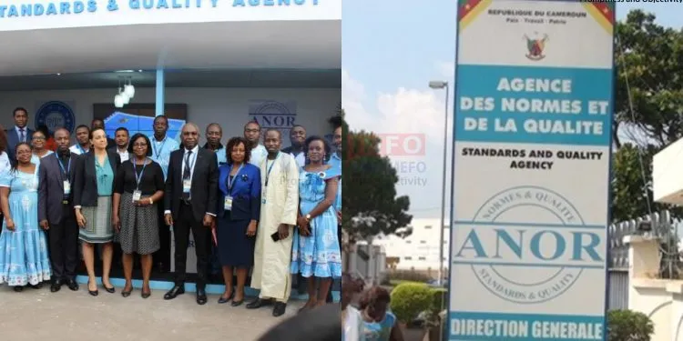 Are Cameroonians aware of ANOR