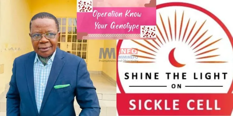 Ashu Egbe calls us to shine the Light on Sickle Cell Disease