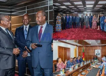 Cameroon-Nigeria Border Demarcation finalised