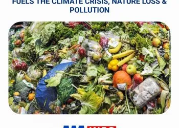 Food Waste impacts negatively on world hunger and the environment - UN report