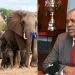Botwana President threatens to send elephants to Germany