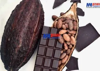 Chocolate Prices remain unchanged in Cameroon