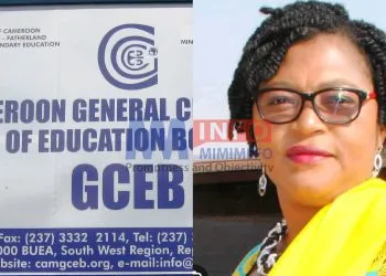 GCE Board to install cameras