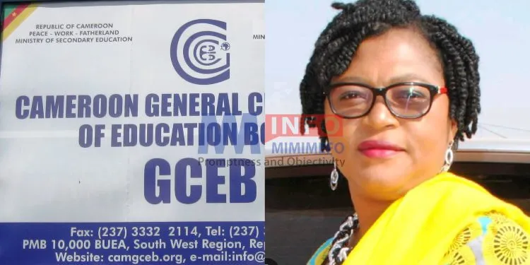 GCE Board to install cameras
