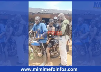Ako Giant's capture has brought relief to the Community of Upper Banyang