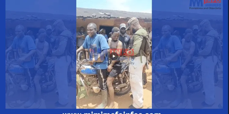 Ako Giant's capture has brought relief to the Community of Upper Banyang