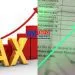 Tax hikes in Doula impedes business growth
