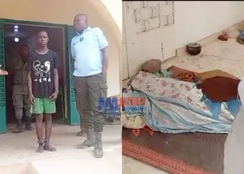 Un enfant tue sa propre maman a l'aide d'un parpaings