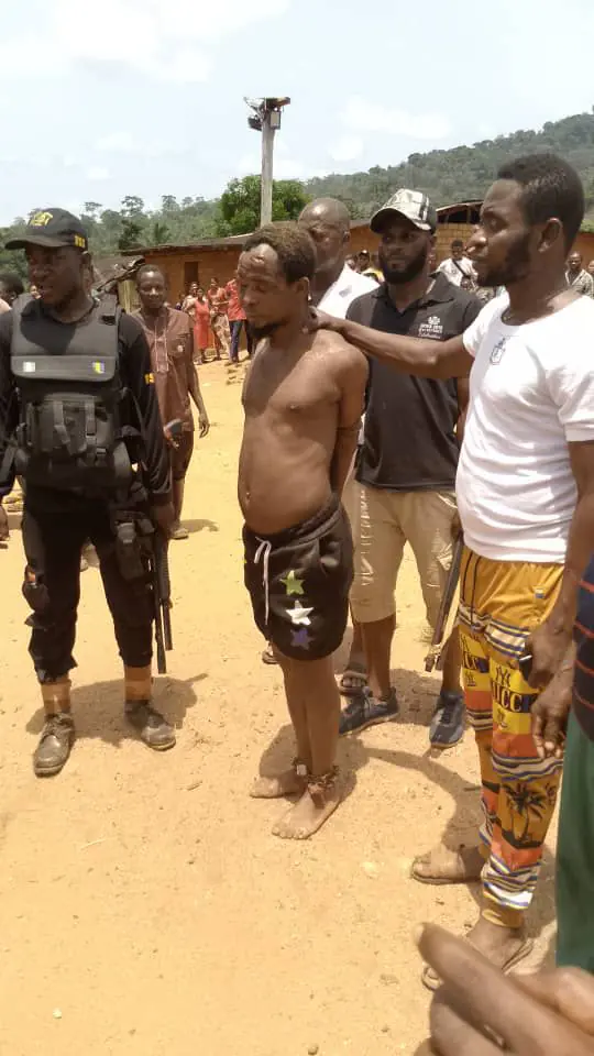 Ako Giant's capture has brought relief to the Community of Upper Banyang