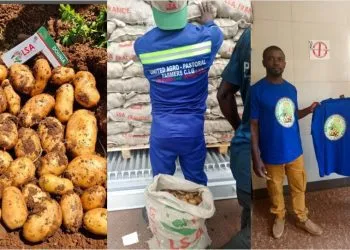 United Agro-pastoral Farmers partner with LSA Cameroon