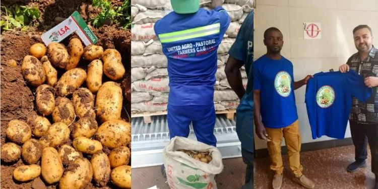 United Agro-pastoral Farmers partner with LSA Cameroon
