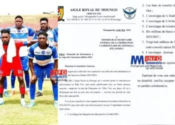 Aigle Royal du Moungo
