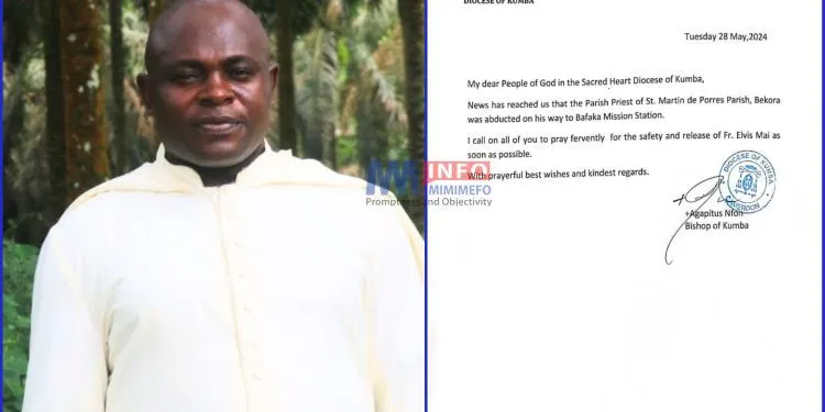 Catholic priest, Fr. Elvis Mai abducted