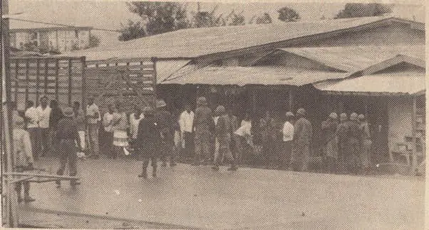 SDF2 1
