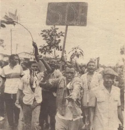 SDF5 1