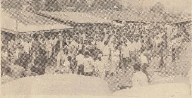 SDF8