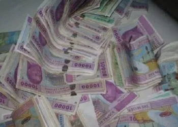 1202 14024 L Argent De La Diaspora Camerounaise Fait Courir Les Societes De Transfert L