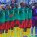 Lions indomptables
