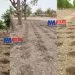 Travaux Champêtres