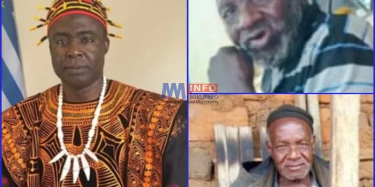 Ambazonians accused of kidnapping 86-year-old man