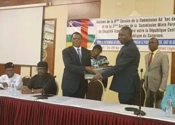 Cameroon and CAR work together to deal with border insecurity