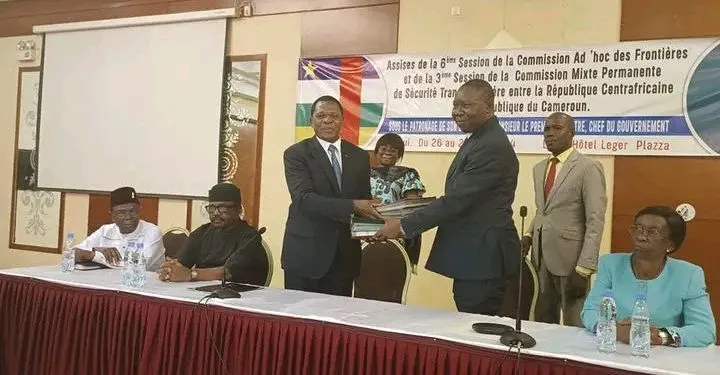 Cameroon and CAR work together to deal with border insecurity