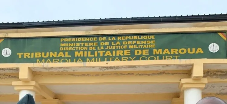 Cameroon Story TN2