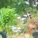 FB IMG 1719422131796