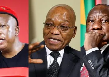 Julius Malema, Jacob Zuma, Cyril Ramaphosa South Africa election 2024 (MMI)