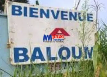 Bamboutos