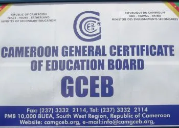 46935464