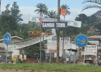 Bambui Road Junction Mectizan Mass Treatment