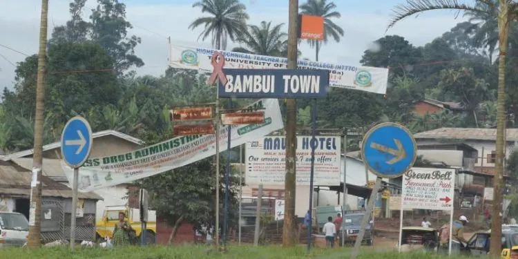Bambui Road Junction Mectizan Mass Treatment