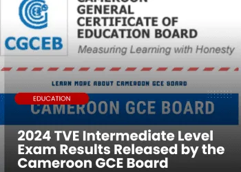 Cameroon GCEB Announces 2024 TVE Intermediate Level Exam Results!