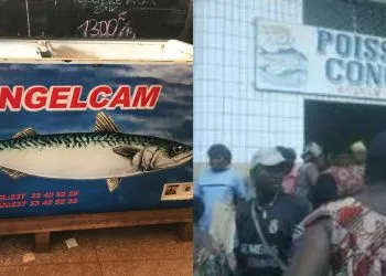Congelcam Cameroon