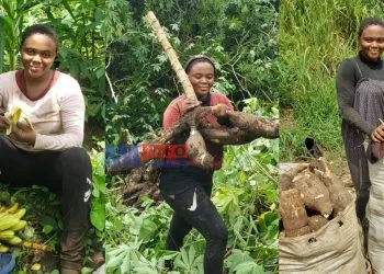 Meet Mbanwie Queenbelle who is farming to raise money to pursue a nursing career