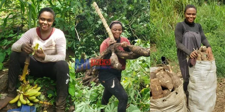 Meet Mbanwie Queenbelle who is farming to raise money to pursue a nursing career