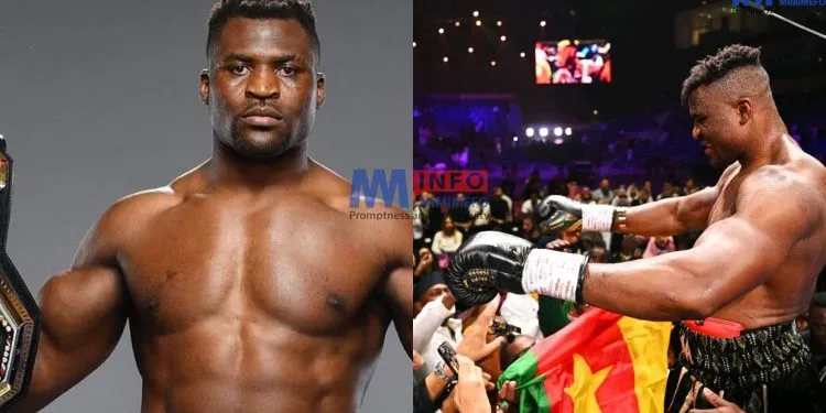 PFL announces African series with Francis Ngannou at the helm