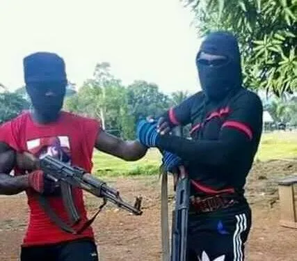 Ambazonia General (file image)