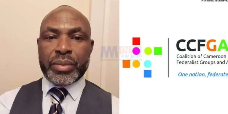 Cameroon federalists demand more action from the UN